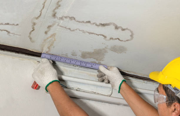 Reliable Structural Drying contractor in Elbert, CO by Water Damage Irwin